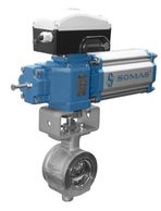Somas Eccentric Plug Control Valves