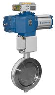 Somas Butterfly Control Valves