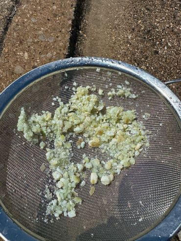 Water Heater Sediment