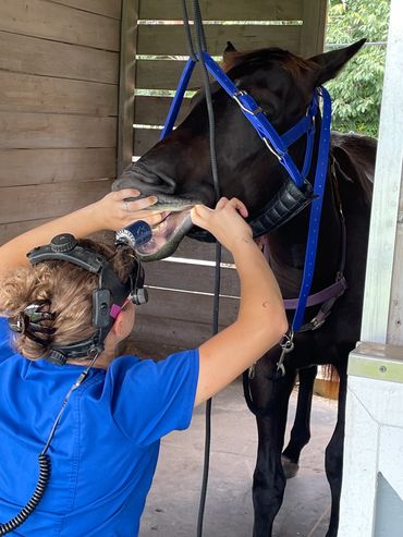 Checking for occlusion before and after is an extremely important component of equilibration.