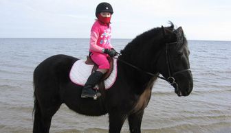 Alessandra and Smokey on the beach in Connecticut.