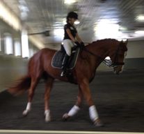 Alessandra and Winterstern at the Schumacher Clinic in 2013.
