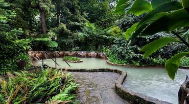 Serene natural hot spring pool surrounded by lush greenery and tropical plants.