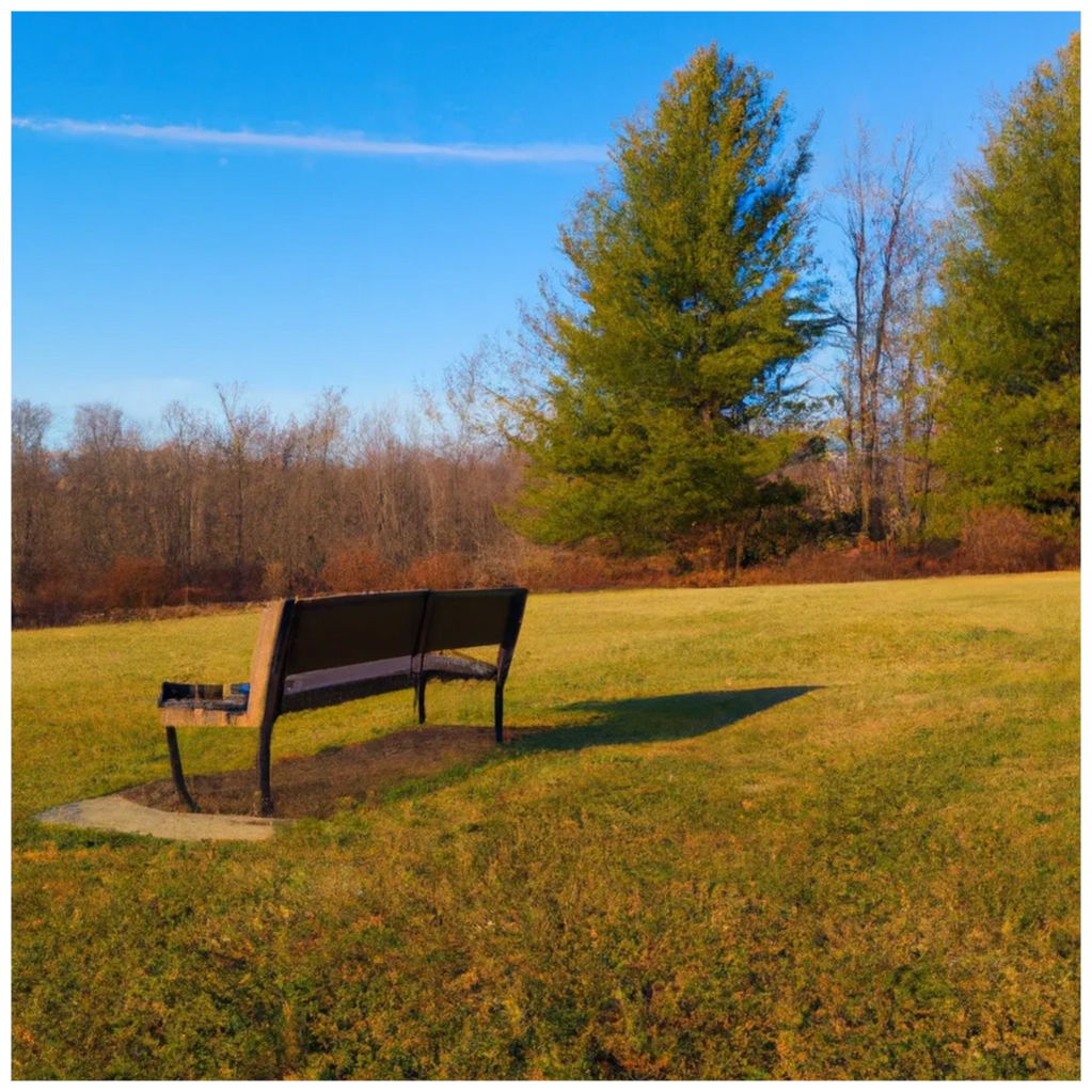 woods forest  when the grey rose blooms a novel of hope healing and reconciliation