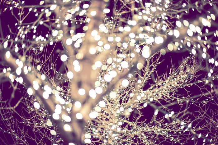 Residential Holiday Lights in Scottsdale, Paradise Valley and Phoenix