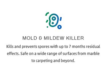 mold and mildew killer