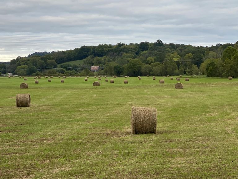 image72