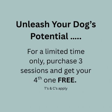 Promotional offer for dog training sessions with a free fourth session.