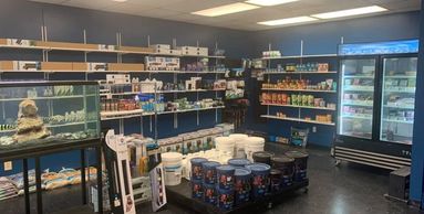 Our store is stocked to the brim with livestock, aquarium supplies, decorations, and tanks. We offer