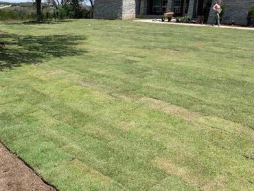 Sod laid beautifully!
