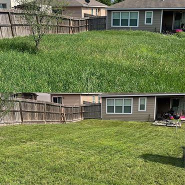 Overgrown? Not an issue!