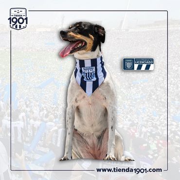 BANDANA MODELO TITULAR
Producto Oficial Alianza Lima
Precio s/.39.90