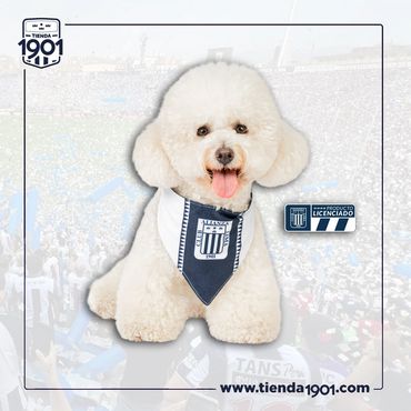BANDANA MODELO ALTERNA
Producto Oficial Alianza Lima
Precio s/.39.90