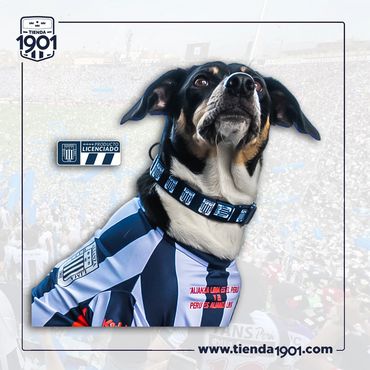 COLLAR PARA MASCOTAS
Producto Oficial Alianza Lima
Precios:
Tamaño mediano s/.27
Tamaño grande s/.30