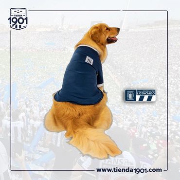 CAMISETA ALTERNA 2025
Producto Oficial Alianza Lima
Talla 2 - 4 - 6 - 8
Precio s/.50