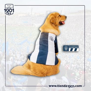 CAMISETA TITULAR 2025
Producto Oficial Alianza Lima
Talla 2 - 4 - 6 - 8
Precio s/.50