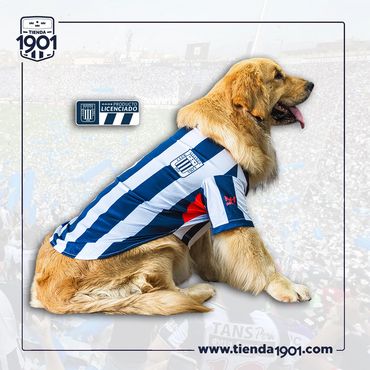 CAMISETA TITULAR 2026
Producto Oficial Alianza Lima
Precios:
Talla 2 s/.49.90
Talla 4 s/.s/.59.90
Ta