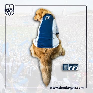 CAMISETAALTERNA 2026
Producto Oficial Alianza Lima
Precios:
Talla 2 s/.49.90
Talla 4 s/.s/.59.90
Tal