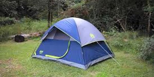 A blue and gray camping tent set up on grass in a forest.