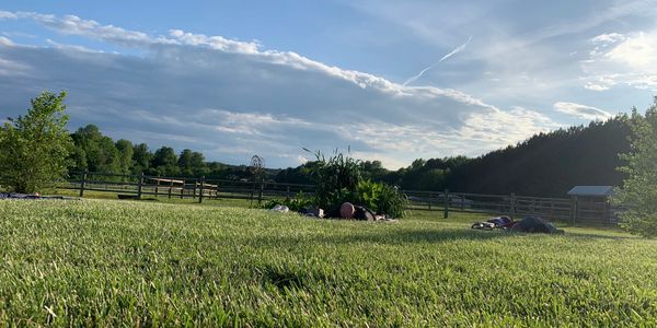 People lying on grass in a sunny open field under a blue sky.