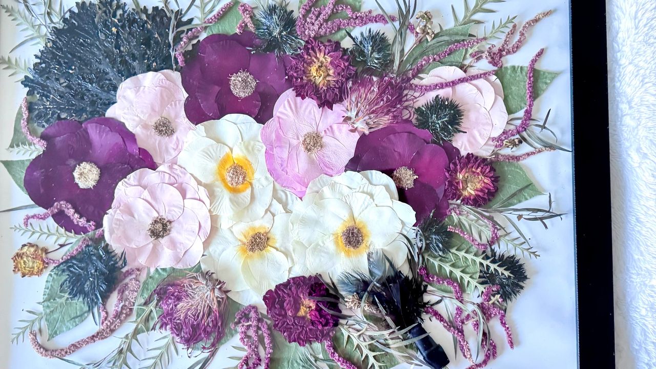 Pressed and Framed Flowers Display Pressed and Framed Flowers