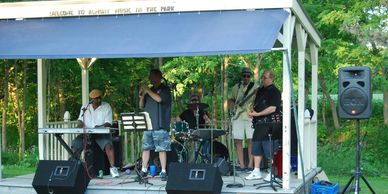    Summer concert series at  The Almont community Park 
