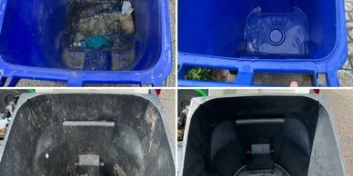 Trash Bin cleaning
