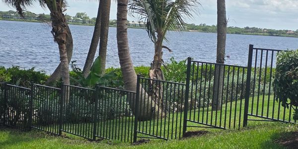 A black metal fence near palm trees by a lake.