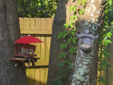 I didn't think the squirrels would take me seriously if I put up their own picnic table, but...