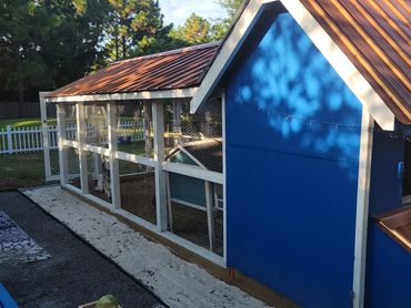 Early days of our rescue with the rabbit hutch in the chicken coop.