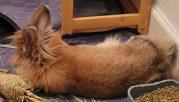 Sasha saying enough already, leave me alone!