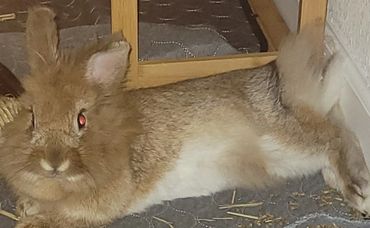 Sasha again just chill'n.