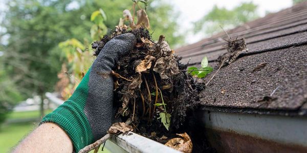 gloved hand cleaning out a house gutter of leaves and debris