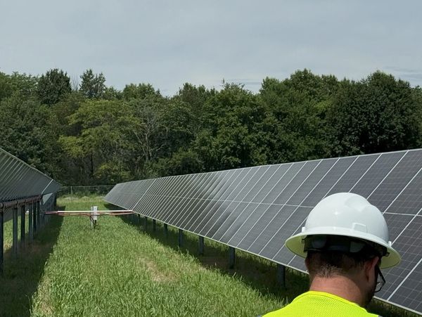 Worker inspecting solar panels in a sunny field with green grass and trees.