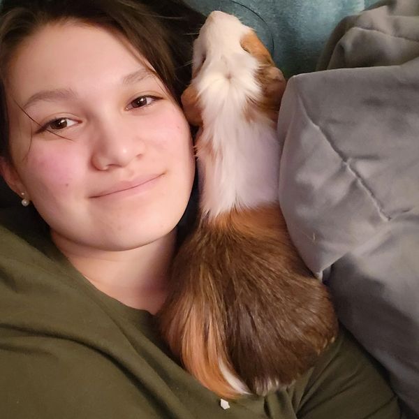 A woman lying down with a brown and white guinea pig on her chest.