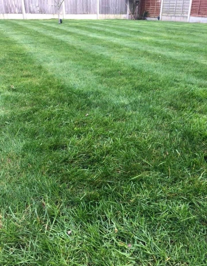 Love your lawn and want to be proud give us a call