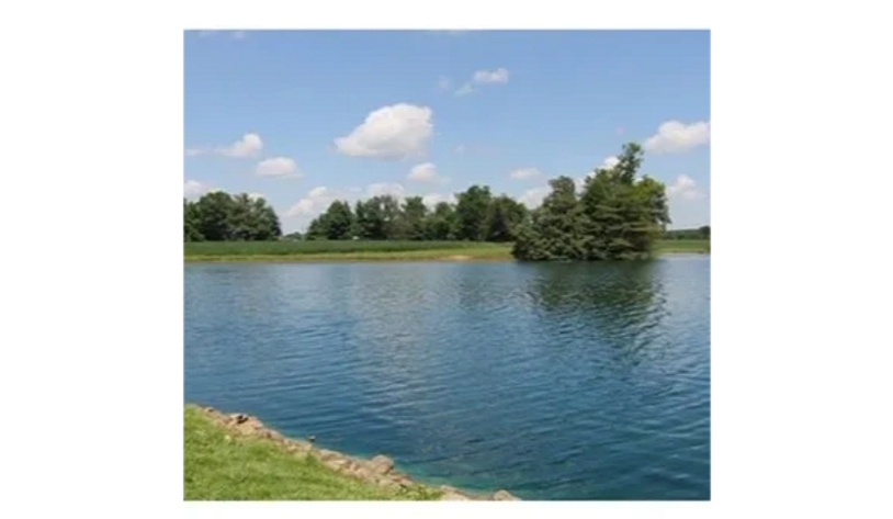 Pond dye application