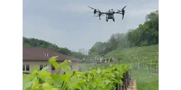 Air Crop drone application on vineyard in wisconsin