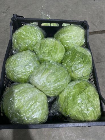 Eight heads of iceberg lettuce wrapped in plastic in a black crate.