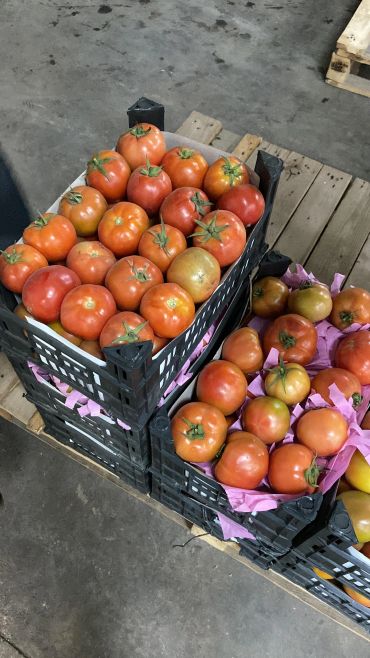 Crates filled with ripe tomatoes on a wooden pallet in a warehouse.