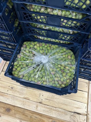 Plastic-wrapped green olives in a black crate on a wooden floor.