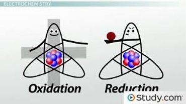 Richard A. Wullaert Ph.D. Esperer.H20, Palm Beach Springs Water Company Inc.