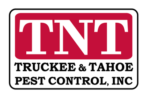 truckee tahoe pest control