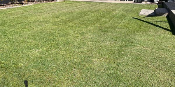 Well-maintained green lawn with visible mowing lines.