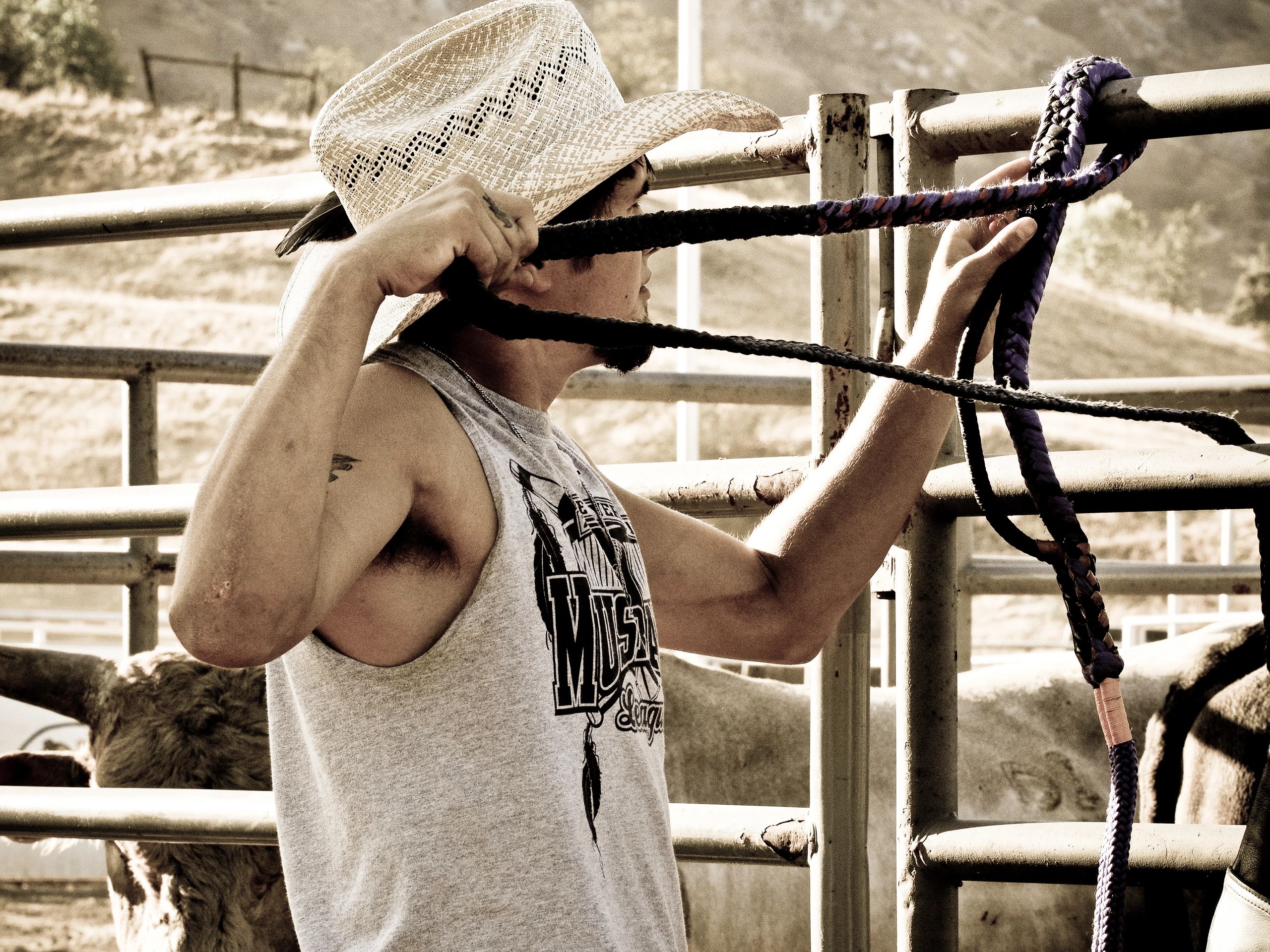 A completing cowboy gets ready to ride a bull for an exciting eight seconds to fame at the Springvil