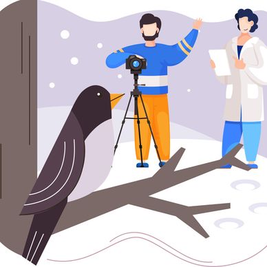 Illustration 249471911 / Bird © Topvectorr | Dreamstime.com