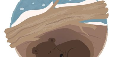 Illustration 75857422 © Bilha Golan | Dreamstime.com