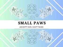 Small Paws Adoption Cottage