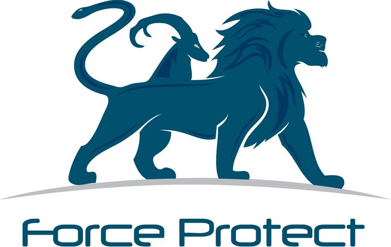 force protect security consultants