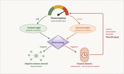 Diagram of neuroception and its link to survival, trauma memory, and adaptive memory.